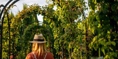 Giardini Reali: le curiosità