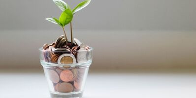 Rendicontazione dei contributi pubblici ricevuti nel 2021 (Ex Legge 124 del 2017)